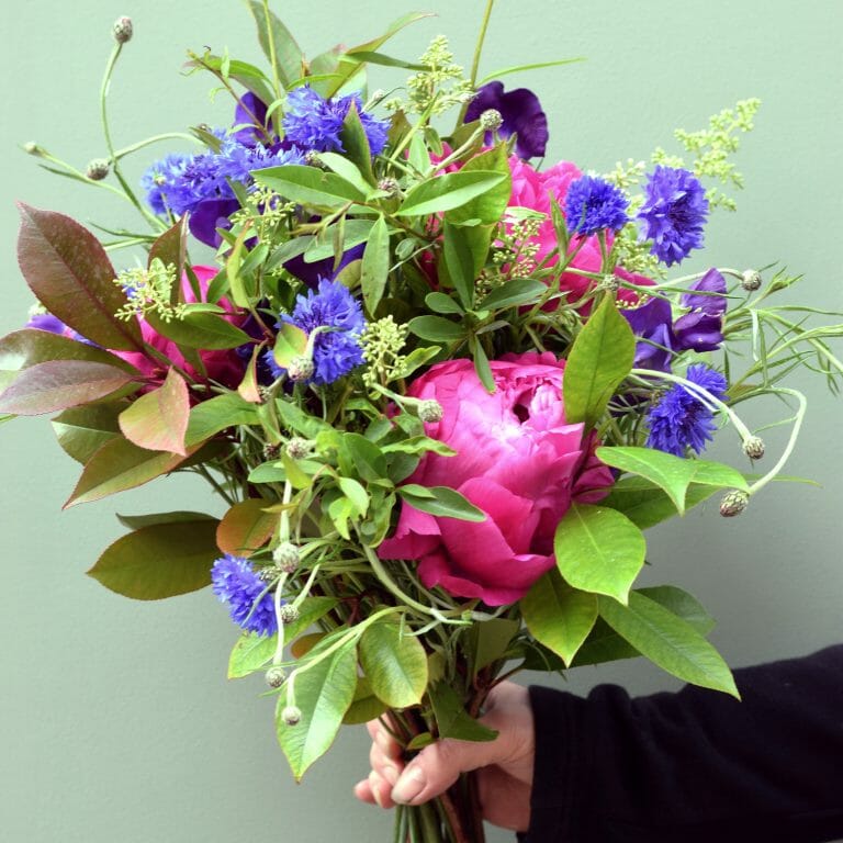 A Handful Of Flowers Kensington Flowers