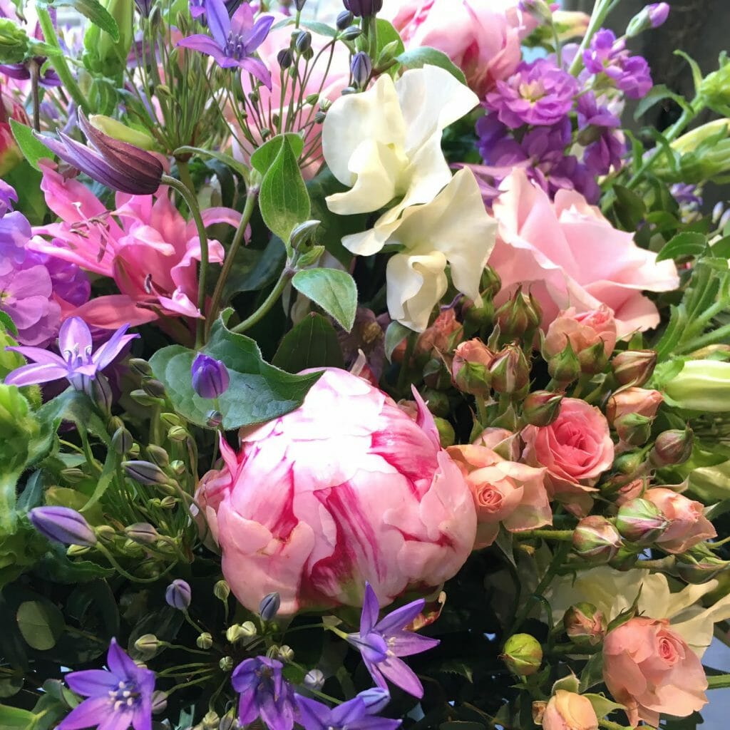 Sweet peas peonies spray roses nerines pink flowers purple flowers summer floral arrangement bunch Kensington delivery