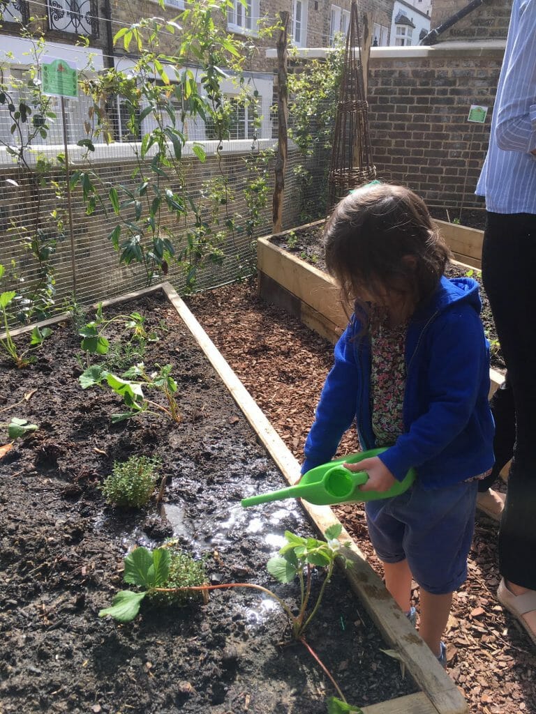 Gardening Christ Church Edible Garden watering charity flowers florist healthy eating