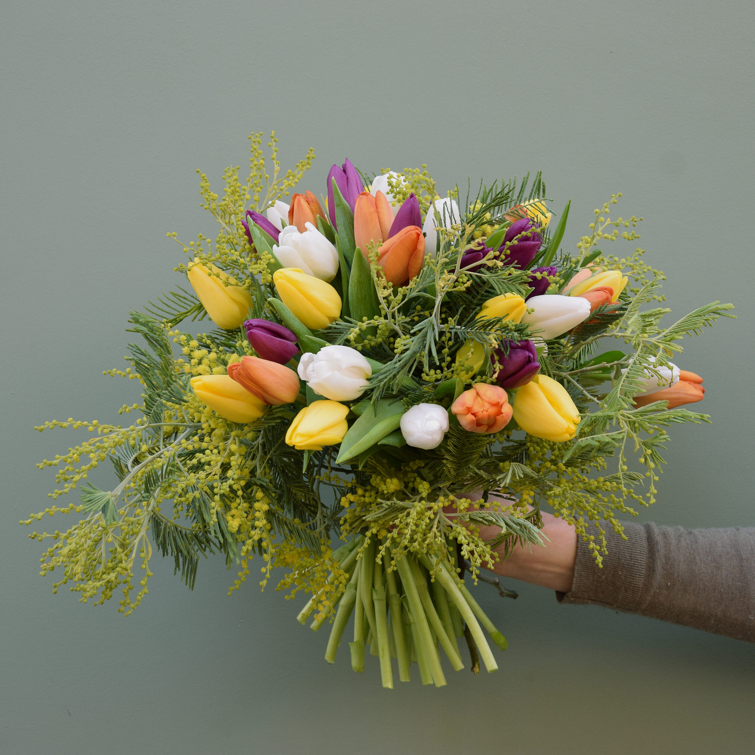 Photo showing a sample of one of the Spring flower bouquet tulips mixed colours, available from Kensington Flowers London