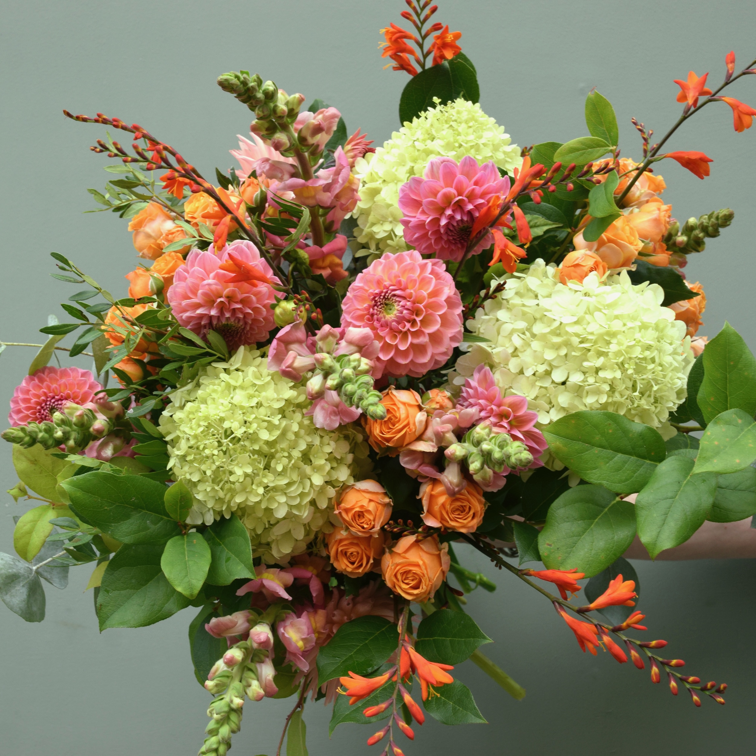 Seasonal Dahlia Bouquet Kensington Flowers